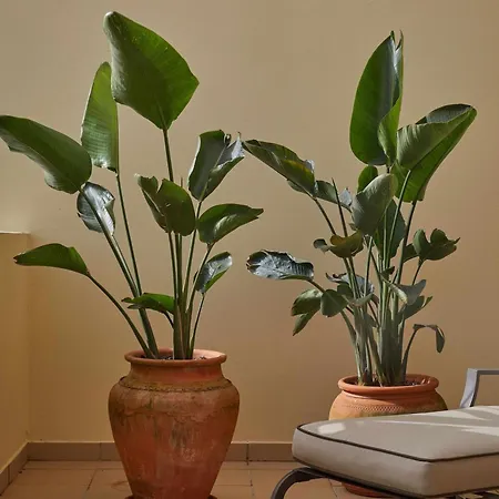 Apartamento Casa Terra With Pool & Free Wifi